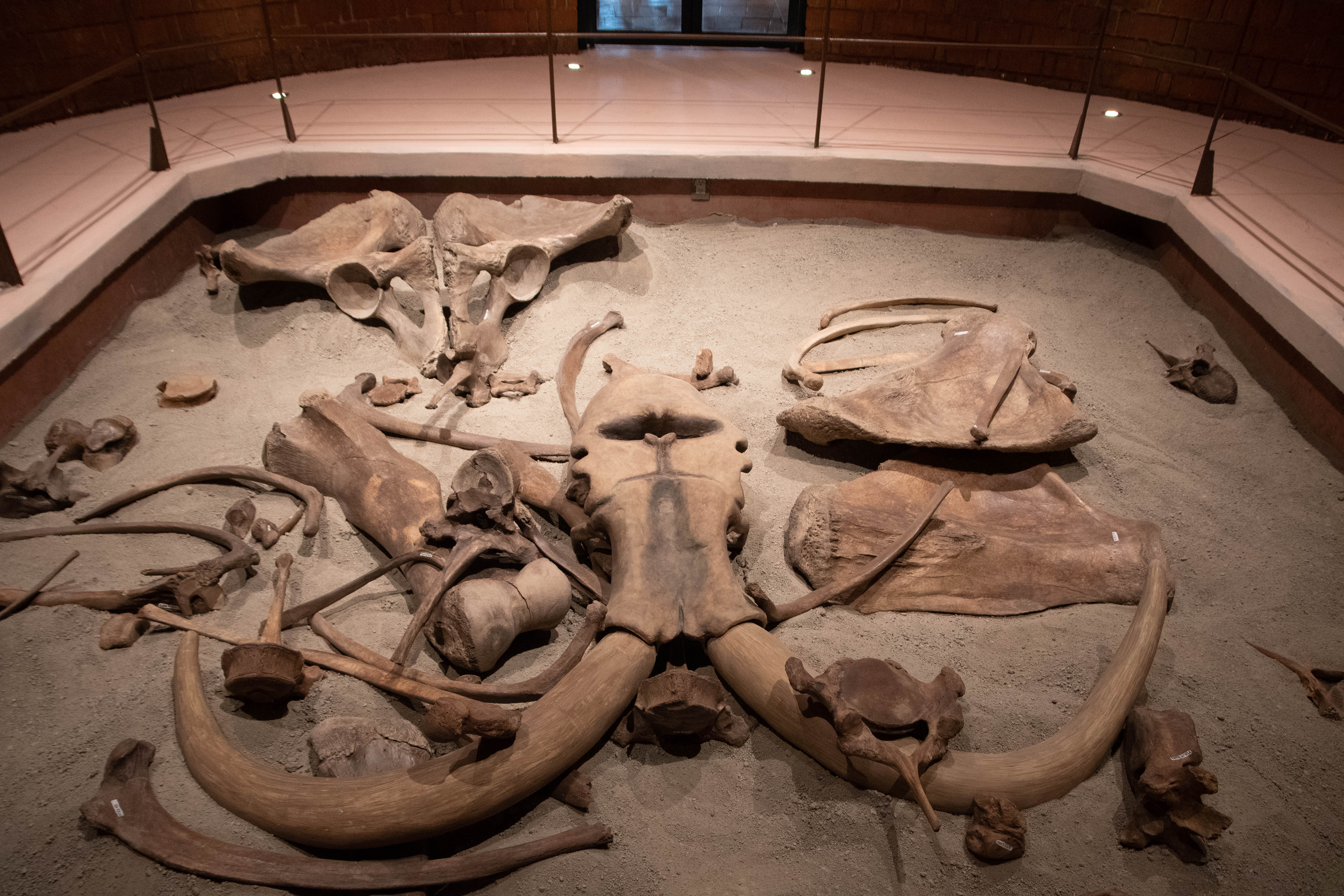 Ancient Egyptian Artifacts